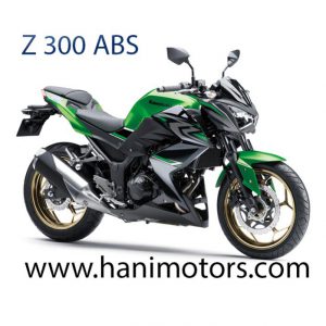 Z300 ABS